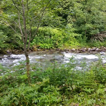 Haus Silvia Kraml 3*