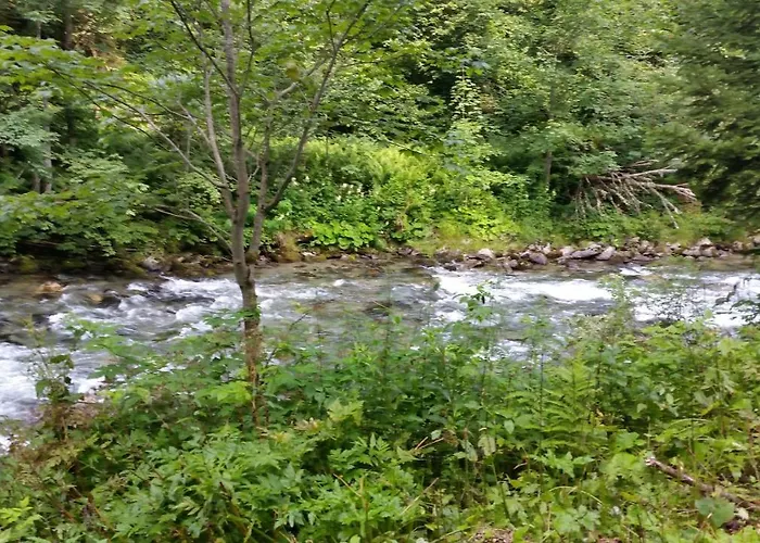 Haus Silvia Kraml 3*